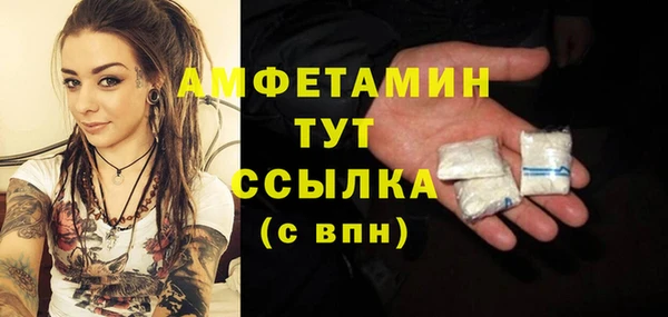 шишки Михайлов