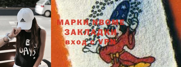 хмурый Михайловск