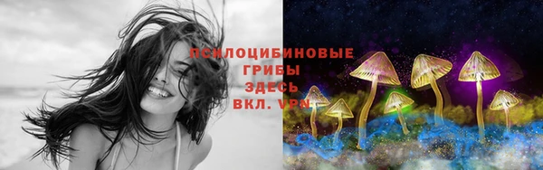хмурый Михайловск