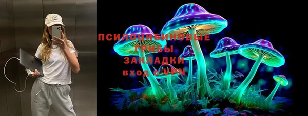 дживик Аркадак