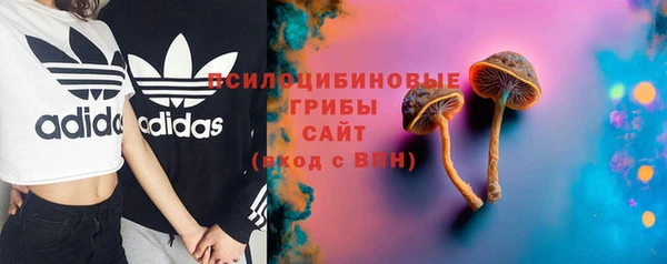 хмурый Михайловск