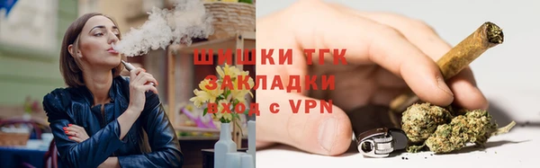 шишки Михайлов