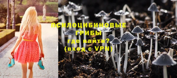 ALPHA PVP Михайловка