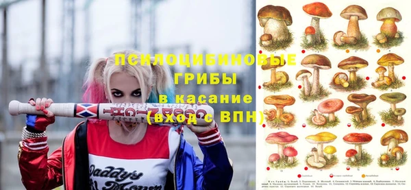 шишки Михайлов