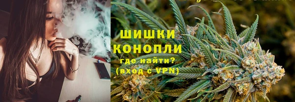 сатива Армянск