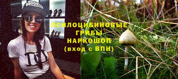 шишки Михайлов