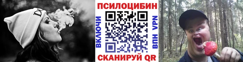 Купить где  Бородино  Галлюциногенные грибы ЛСД 
